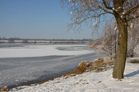 DSC_1929