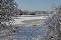 DSC_1925
